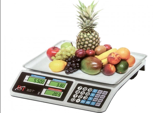 история развития весов история развития весов