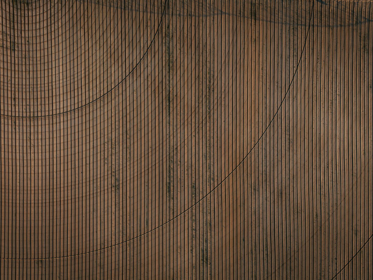 Лучшие аксессуары для занятий спортом: подборка must-have вещей 2025