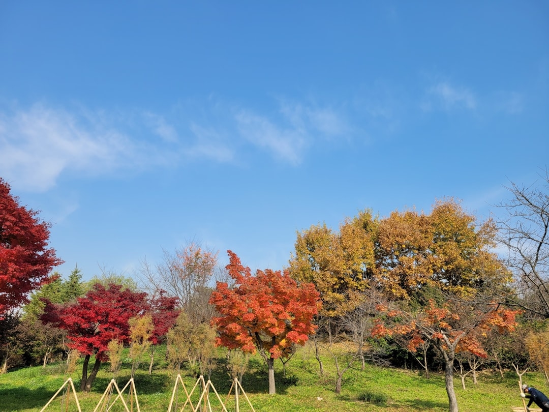 Как одеться для тренировок на улице весной и осенью: рекомендации экспертов