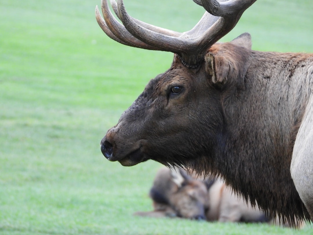 Топ-10 самых удобных спортивных лосин 2025 года: рейтинг и обзоры